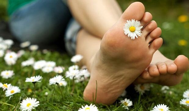 Legs free of varicose veins after prevention with folk remedies